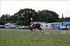 UKPA  NC Sat_1551
